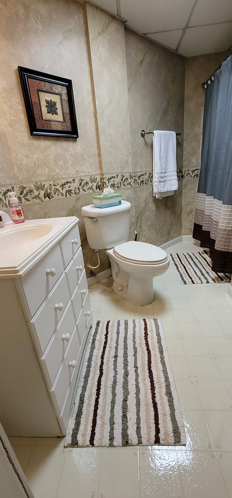 Lower level Bathroom