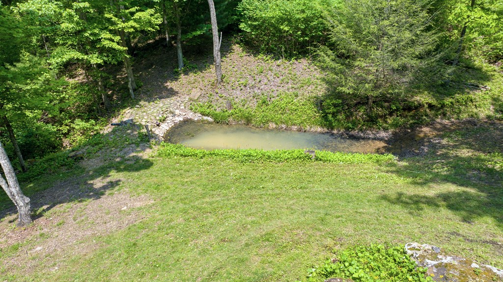 Small pond along many trails